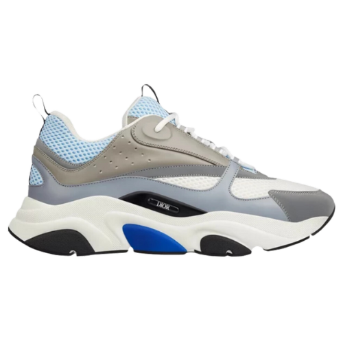 Dior B22 White Blue