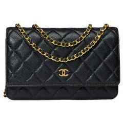 Chanel Wallet on Chain Leather Crossbody Bag