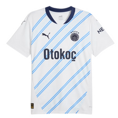 Fenerbahce Istanbul 24/25 Away Jersey