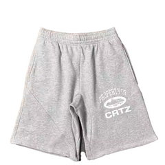 Corteiz "Property of Corteiz" T-Shirt Grey