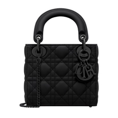 Dior 30 Montaigne Aphrodite Pouch Oblique Bag