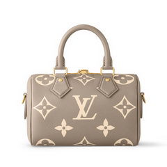 Louis Vuitton Speedy Bag Grey