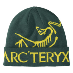 Arcteryx Bird Word Tongue Beanie Green