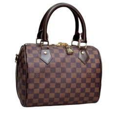 Louis Vuitton Monogramm Speedy Bag Brown