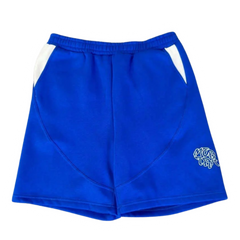 Mertra Shorts Blue