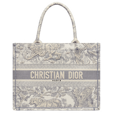 Christian Dior Book Tote Bag